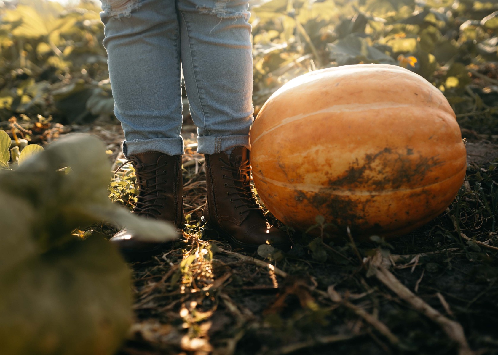 Dreckige Stiefel beim Kürbis Photo by Kenny Gaines on Unsplash