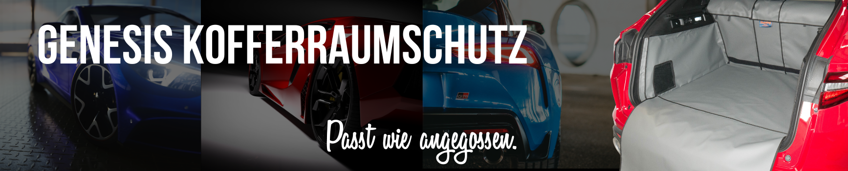 Genesis Kofferraumschutz