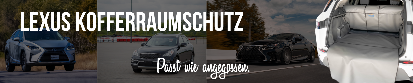 Lexus Kofferraumschutz