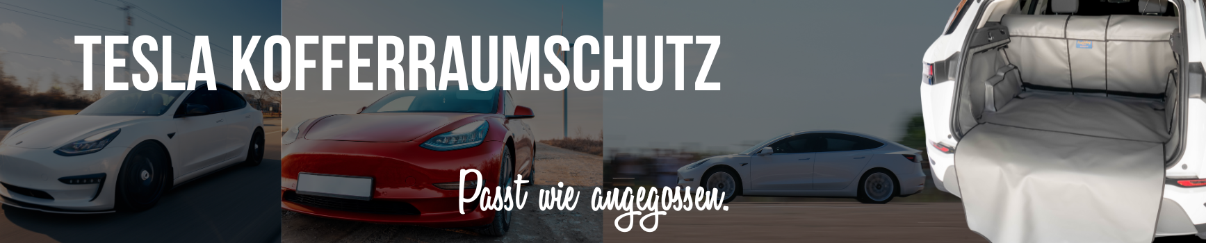 Tesla Kofferraumschutz
