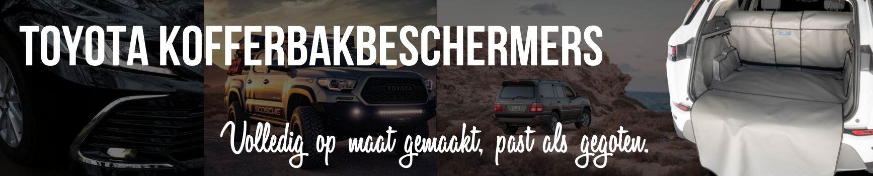 Toyota Kofferbakbescherming