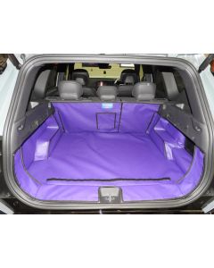 KIA EV5 2025 Onwards