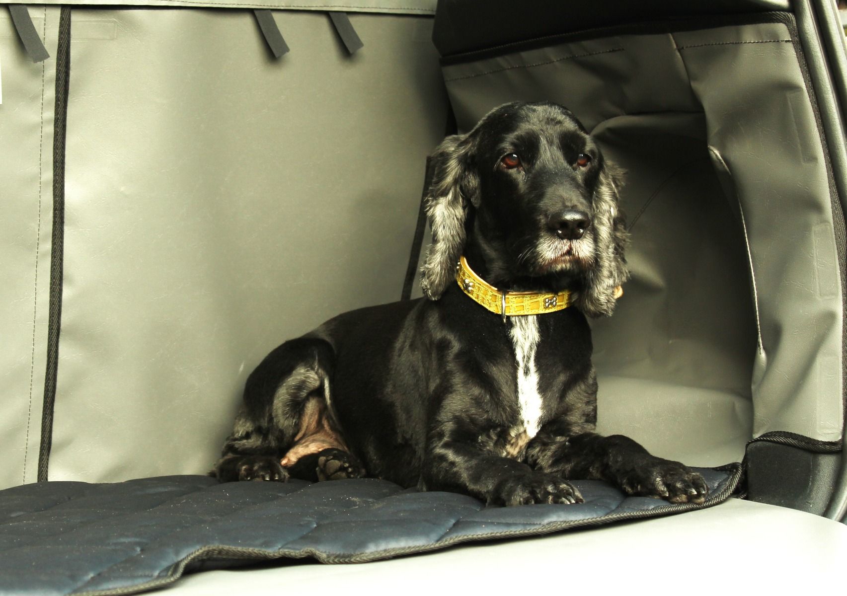 BERULL Kofferraumschutz für Hund,für Dacia Sandero Stepway