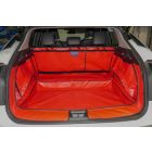 Nissan Ariya 2022 Onwards 