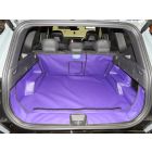 KIA EV5 2025 Onwards
