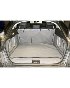 Renault Arkana 2021 Onwards