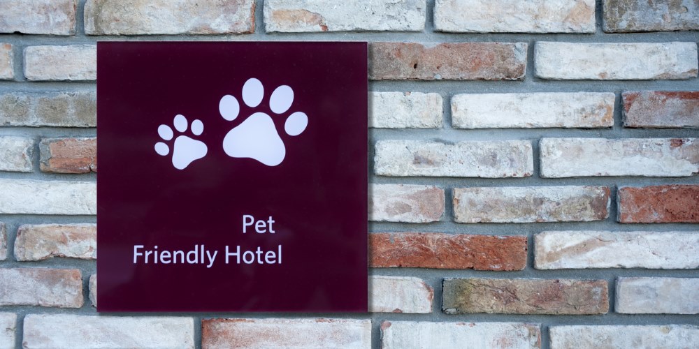 pet friendly hotel