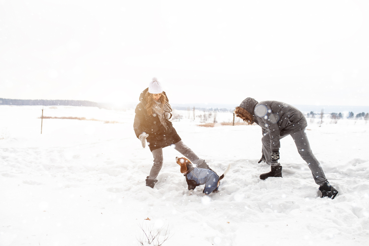 family playing in the snow