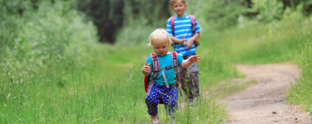 children walking on a trail in the woods