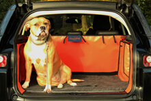 hatchbed mat voor extra comfort voor hondenvervoer