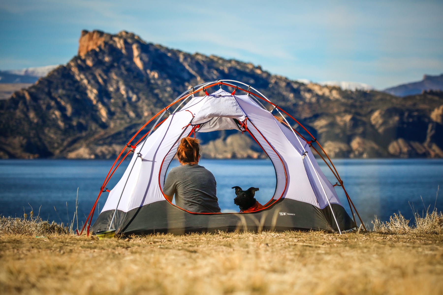Camping with four legged friend Dog and dog owner camping near a lake