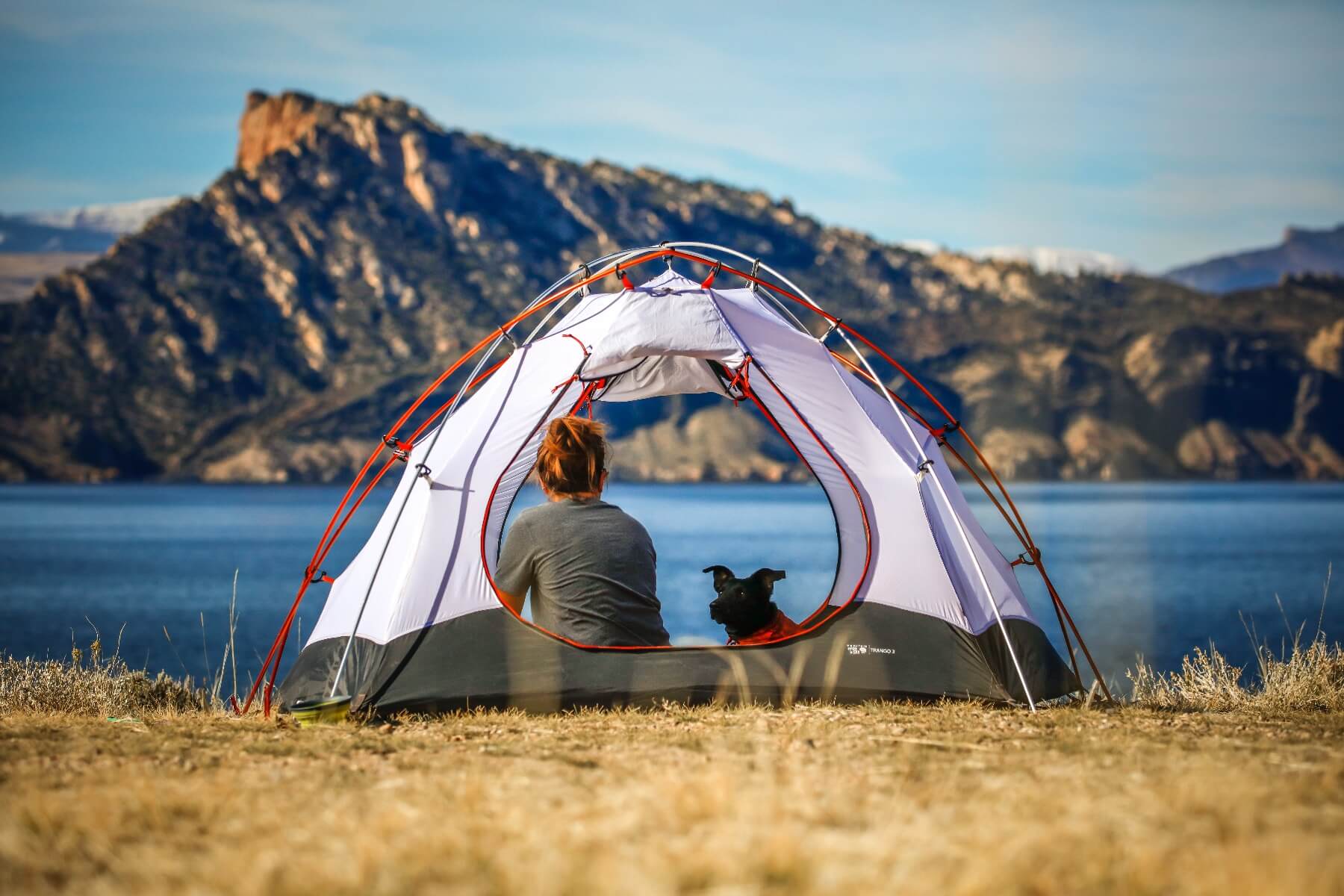 Dog and dog owner camping near a lake 